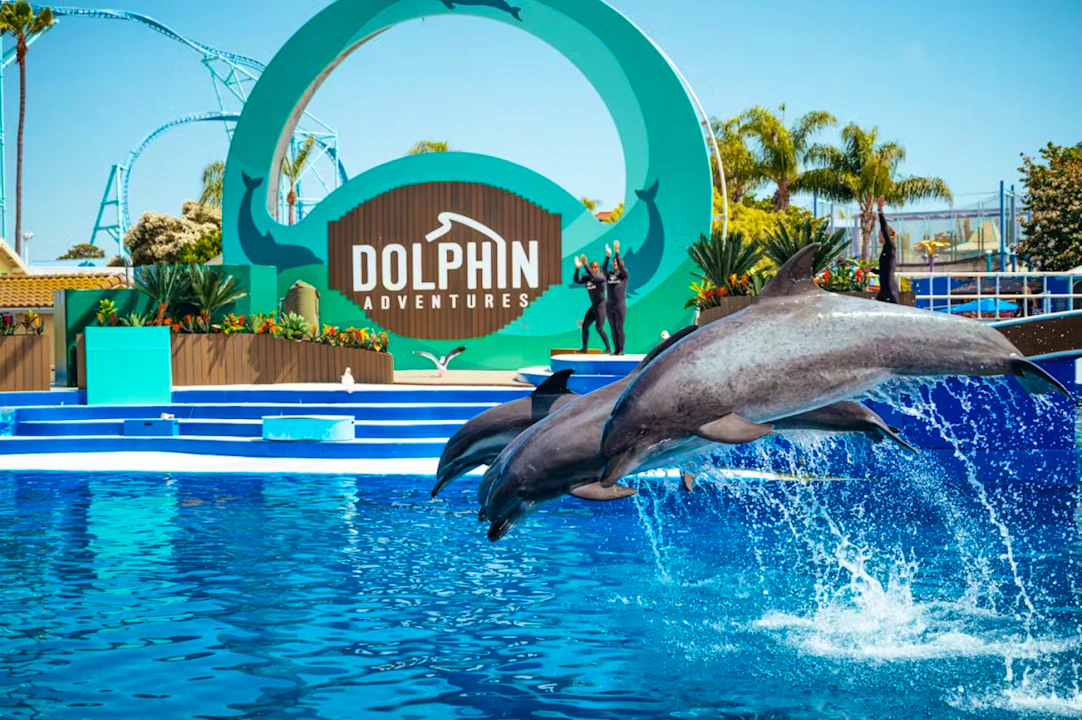 SeaWorld San Diego Ticket: Direct Entry Category